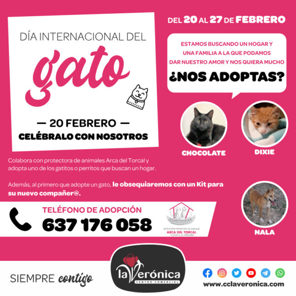 Día Internacional del Gato, Centro Comercial Comercial la Verónica